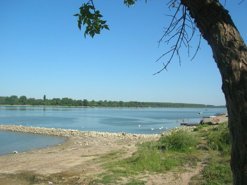 DSCN6213.jpg