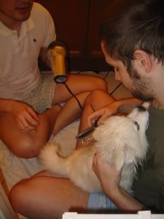 re: Miss Holly Gets a Bath