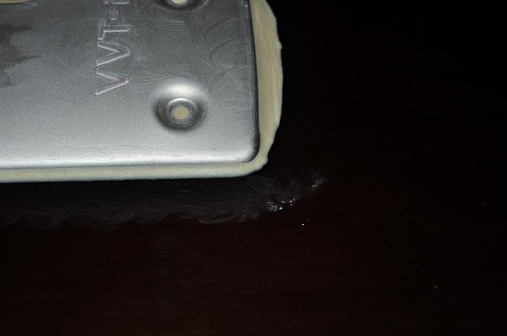  photo _DSC2436_zps356c486d.jpg