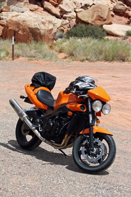 triumph speed triple tail bag