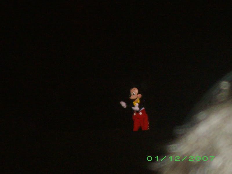 WDW018-1.jpg
