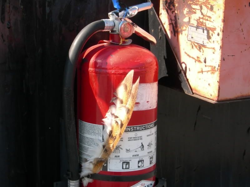 Hot tar burn... Page 2