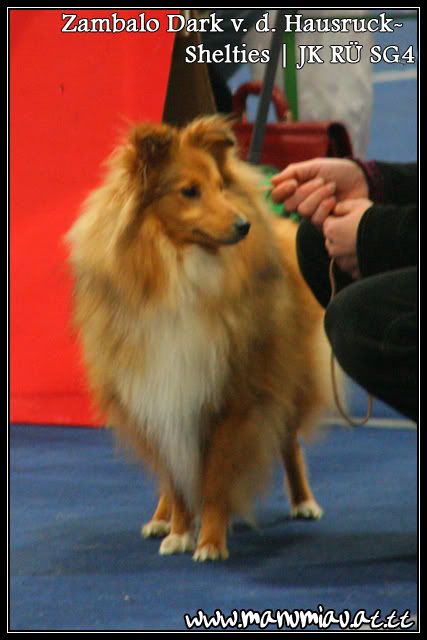 balou-2.jpg