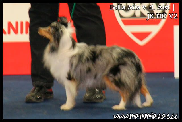 bella-1.jpg
