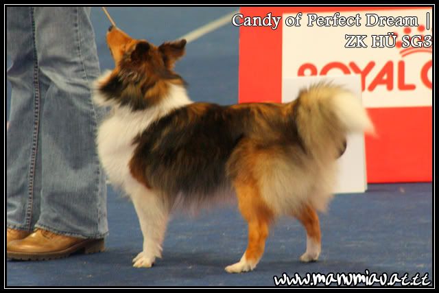 candy-1.jpg