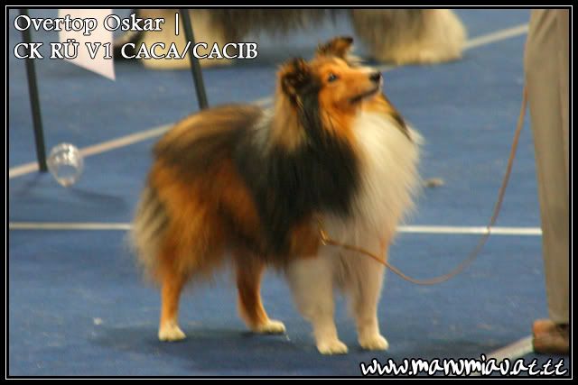 oskar-1.jpg