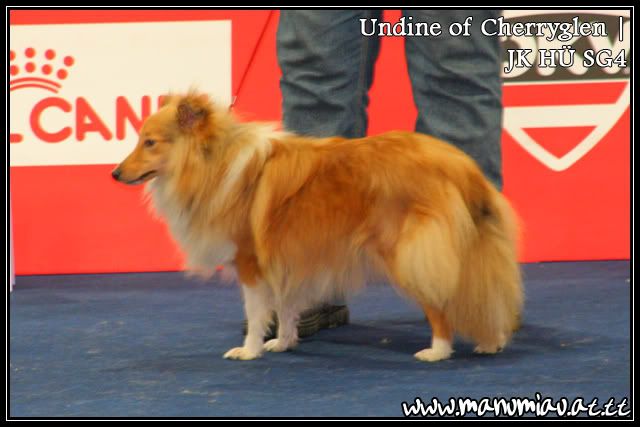 undine-1.jpg