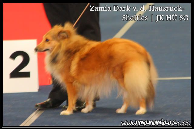 zamia-1.jpg