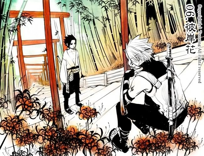 kakasasu61.jpg KakaSasu image by Tenten_123