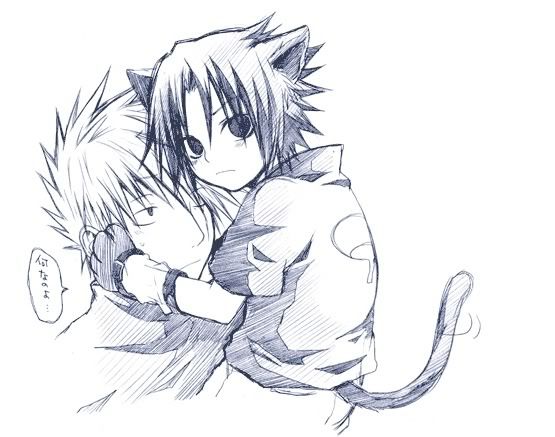 nekosasu_kaka03.jpg KakaSasu image by Tenten_123