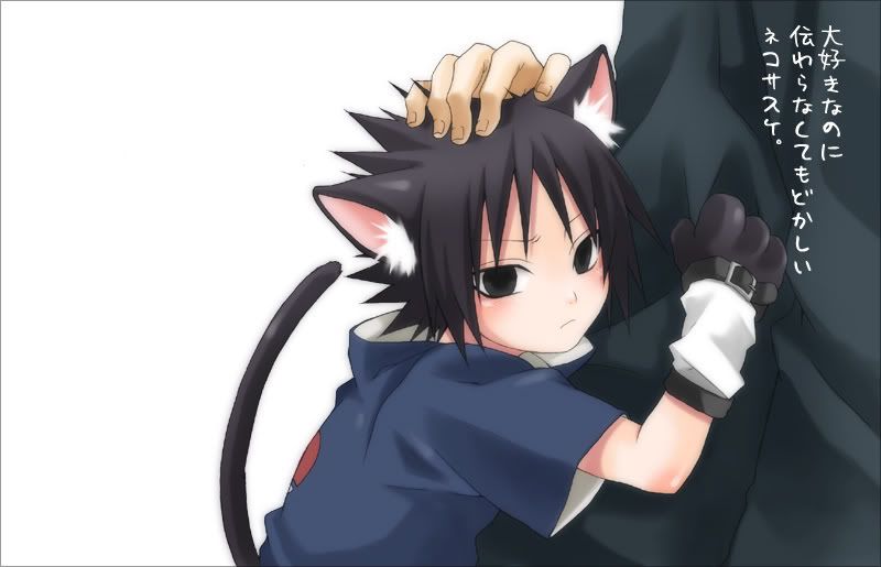 nekosasuke7.jpg KakaSasu image by Tenten_123