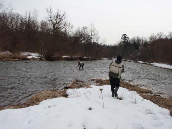 Fighting an Ontario steelhead