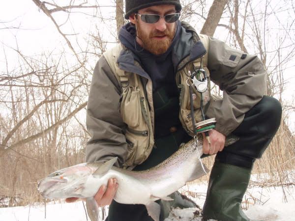 A fresh ontario steelhead