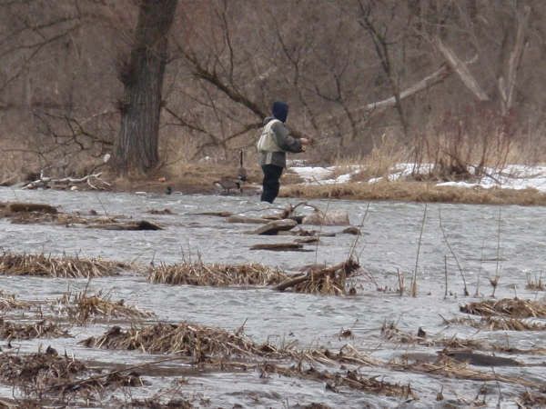 Ontario steelhead fly fishing