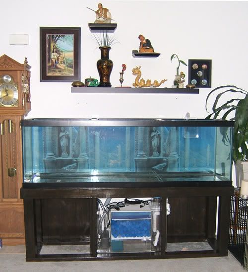 LF Aquarium Stand Door... Reef Central Online Community