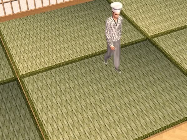 snapshot_f2434cd8_d266d03d.jpg