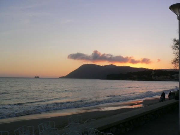 P1000599.jpg