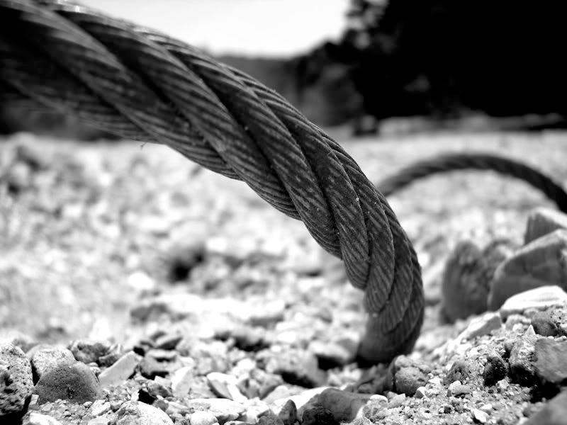 IMAGE: http://i89.photobucket.com/albums/k214/alexR931/iron.jpg