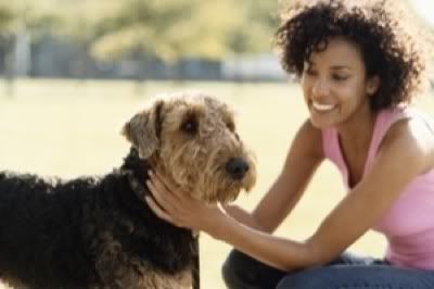 Guy With Dogs