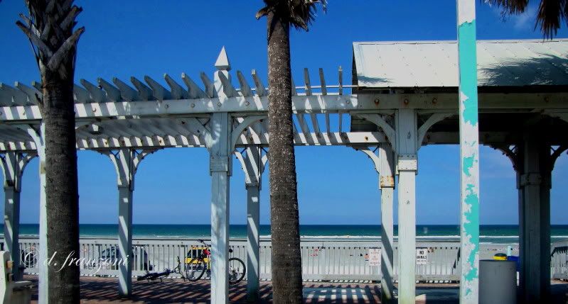 IMAGE: http://i89.photobucket.com/albums/k214/pitluver1/Other%20pics/IMG_01672.jpg