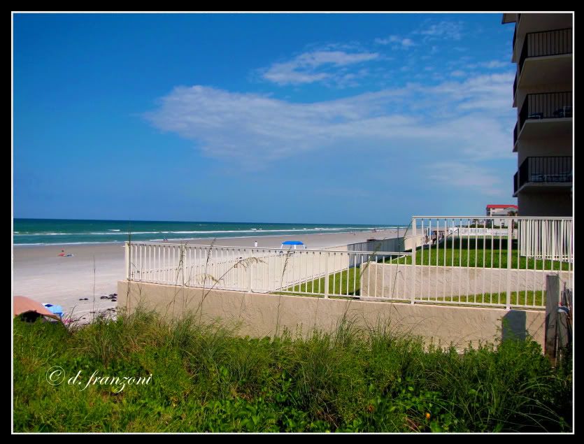 IMAGE: http://i89.photobucket.com/albums/k214/pitluver1/Other%20pics/IMG_0173-1.jpg