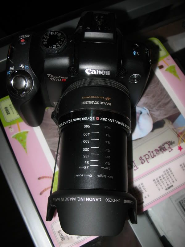 IMAGE: http://i89.photobucket.com/albums/k214/pitluver1/SX10%20IS/TheBrasilians519.jpg