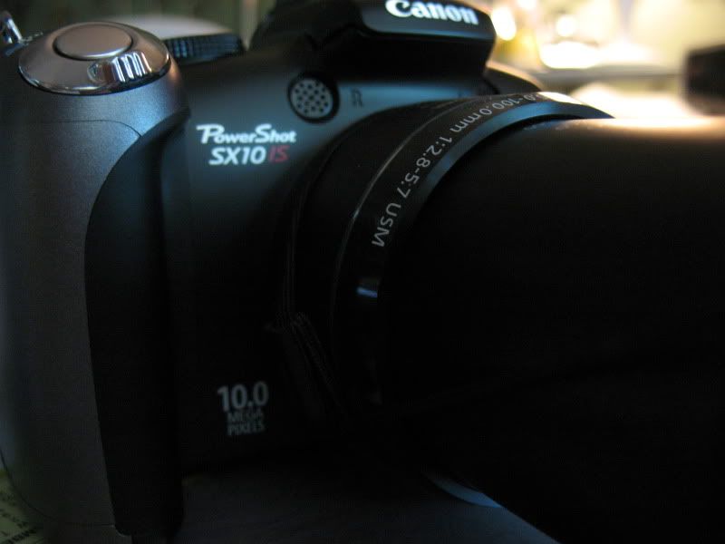 IMAGE: http://i89.photobucket.com/albums/k214/pitluver1/SX10%20IS/TheBrasilians523.jpg