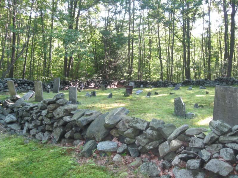 Round Top Hill Roadrogue's log