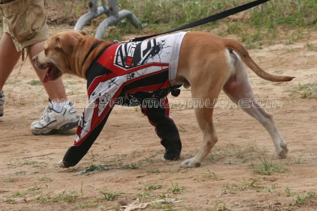 IMAGE: http://i89.photobucket.com/albums/k215/RUSS-D/TampaBMX%20qualifier%20VBMX/IMG_4409.jpg