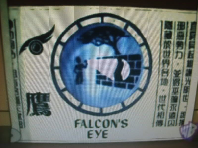 Falcon's Eye