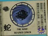 Mind Reader Conch