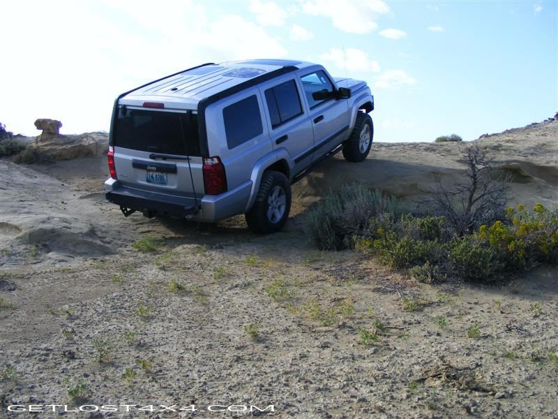 crawling037Medium.jpg