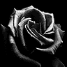 blackrose.gif black rose image by bubbasparx_2006