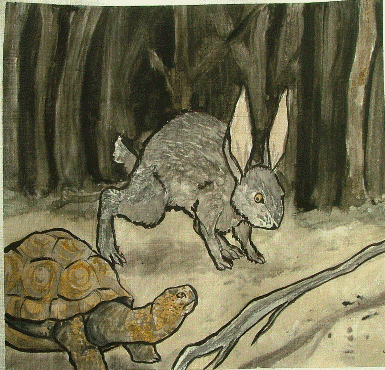 The tortoise and the hare Pictures, Images and Photos