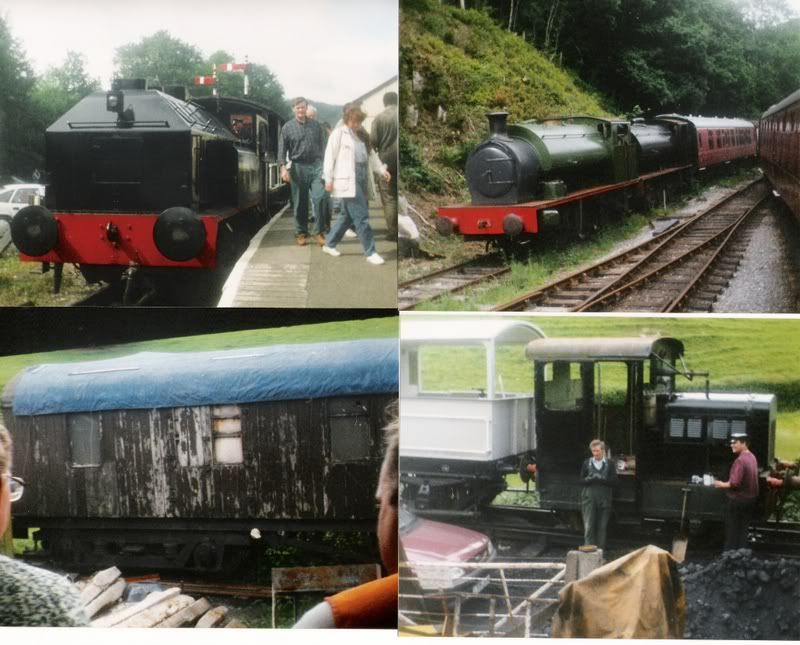wed-gwili2.jpg picture by nickinwestwales|800x645
