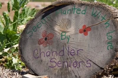 Tumbledweed Elders