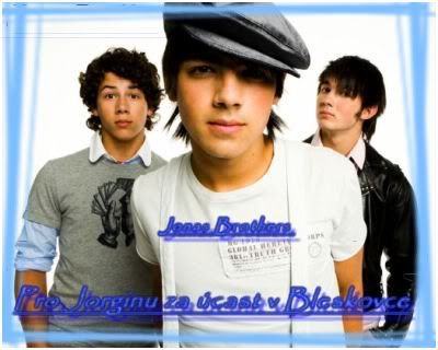 JonasBrother-diplomek.jpg picture by VerXP