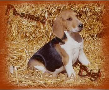 bgl.jpg picture by VerXP