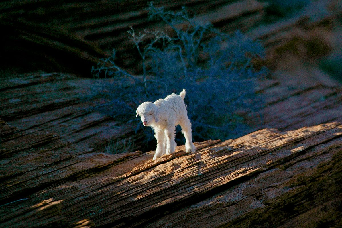 IMAGE: http://i89.photobucket.com/albums/k220/jeffreybehr/Landscapes/767B_20Jan03_crpdampshrpnd_1200w_zps258f2dc2.jpg