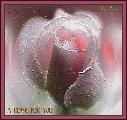 A Rose for You Pictures, Images and Photos