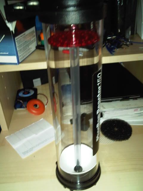 IMG00464-20110822-0429.jpg