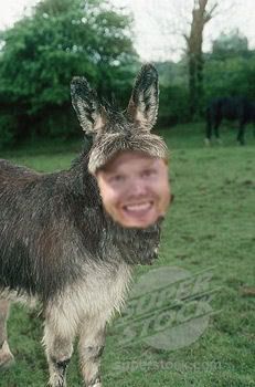 jackass3.jpg