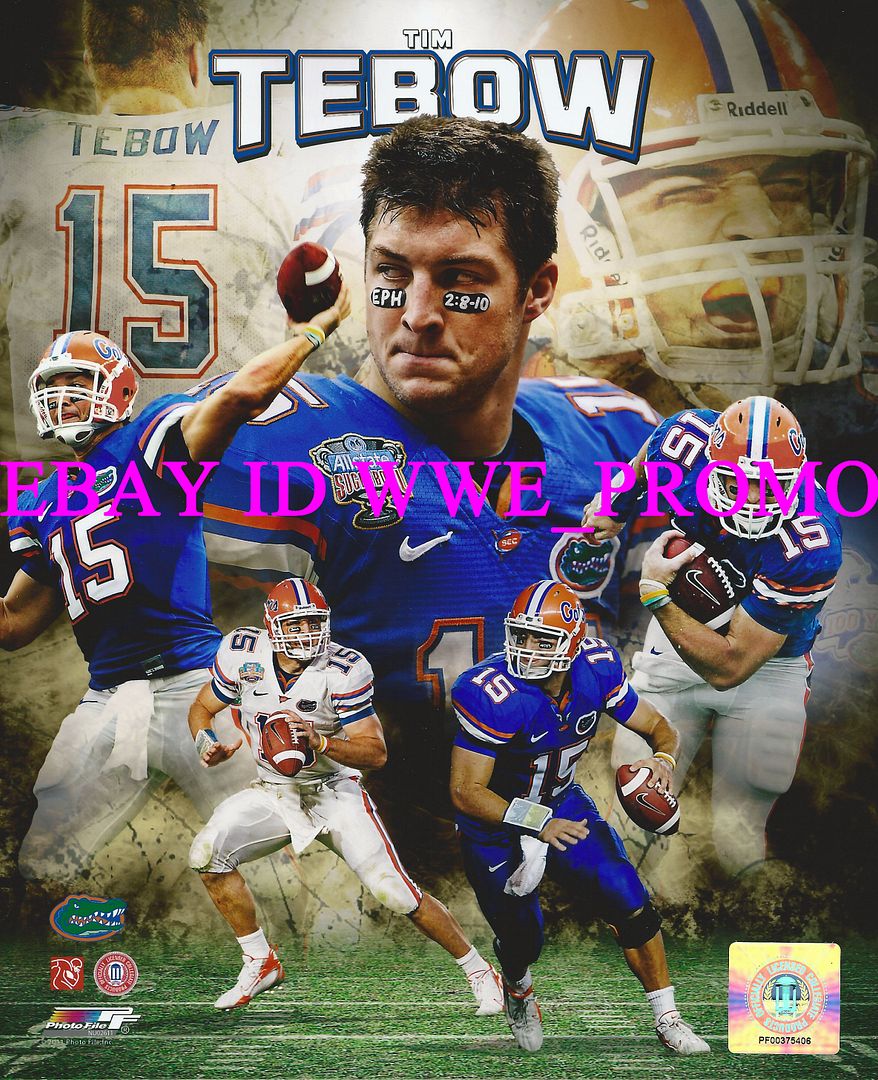 tim tebow university of florida gators picture 8x