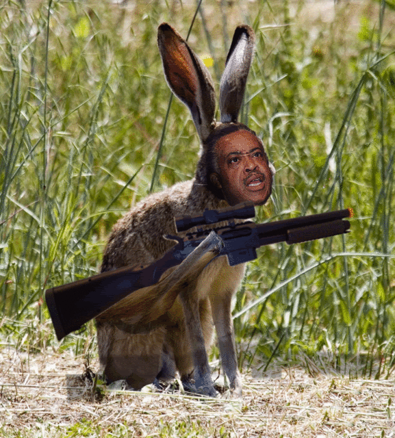 rabbit with gun