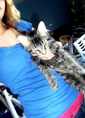 Photobucket Image Hosting