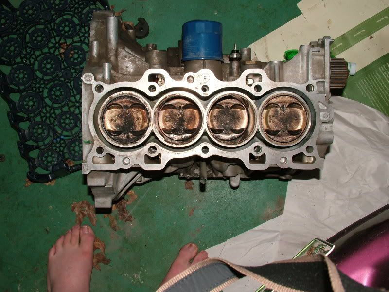 B18b1 Swap, Short Block, Trans, Head, Swap Parts, Jacksonracing ...