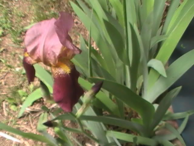 PIC_0015.jpg
