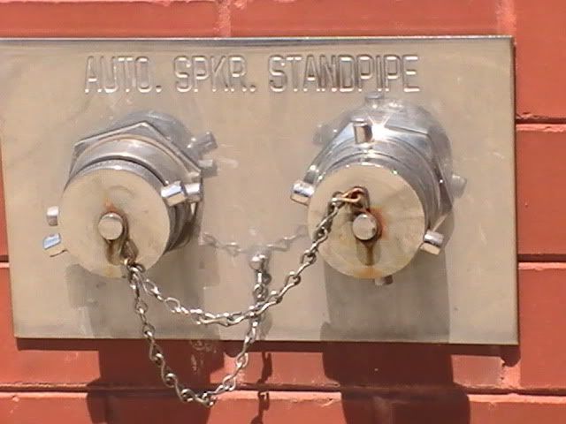 PIC_0389.jpg