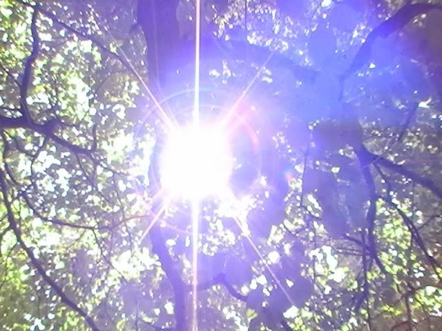 PIC_0703.jpg