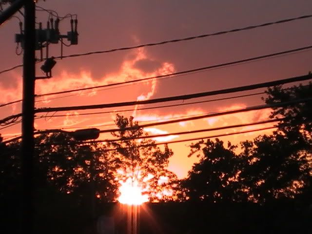 PIC_2219.jpg